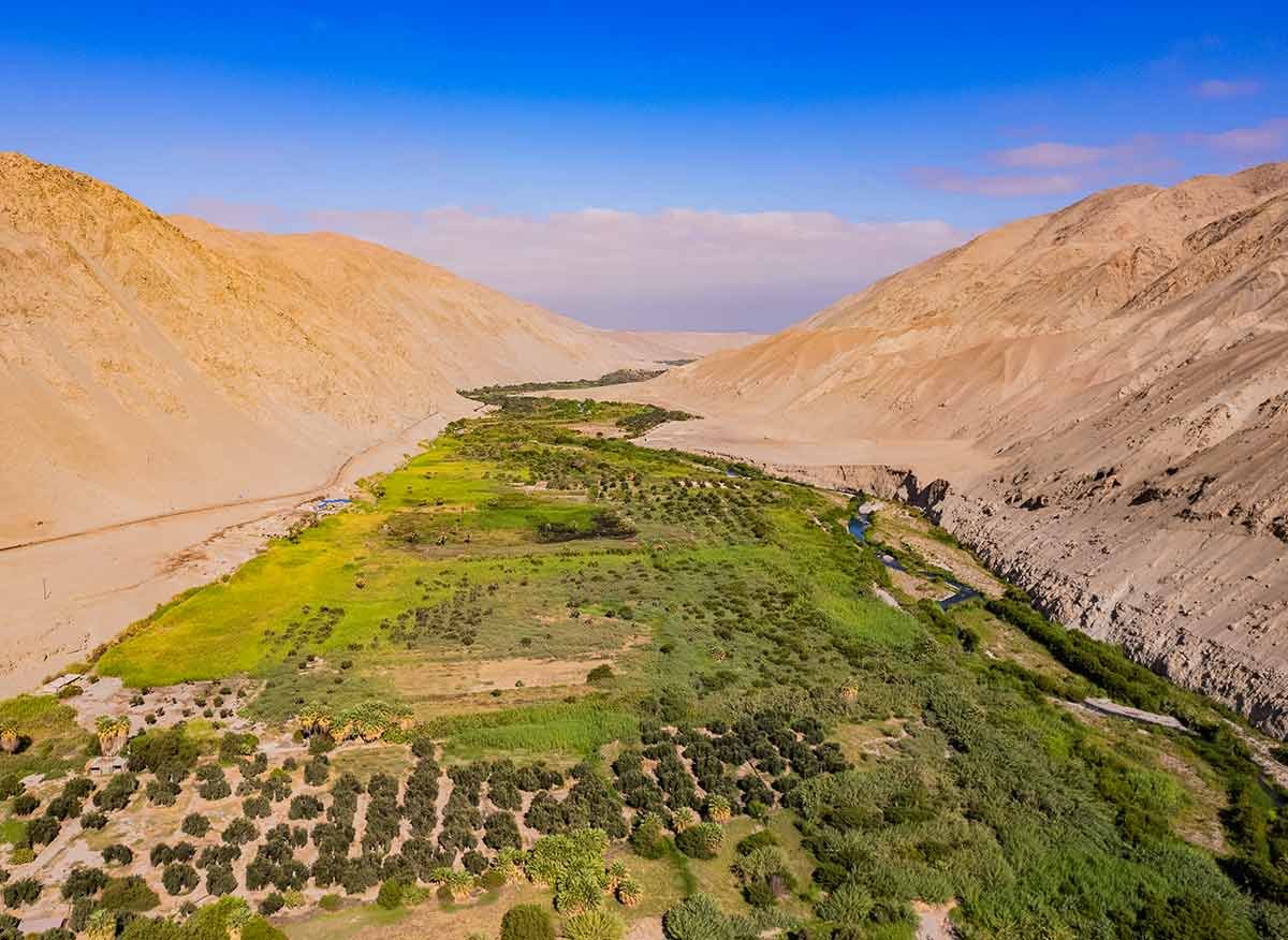 Club Ilo: Un Espacio para Conectar con la Naturaleza y la Cultura Local